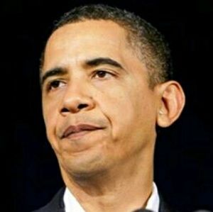 Meet your Posher, Quincy